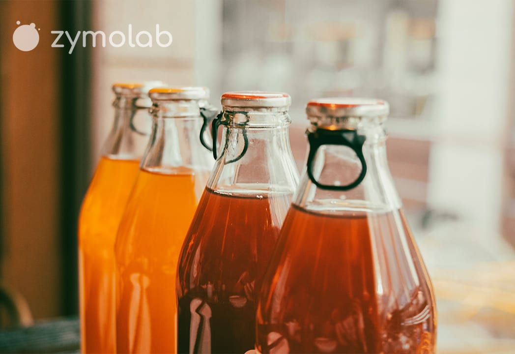 Kombucha y kéfir de agua en plena fermentación